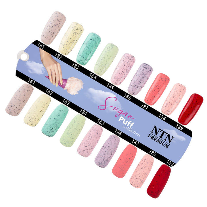Gelinis lakas NTN Premium 181