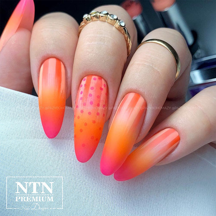 Gelinis lakas NTN Premium HEMA FREE 142